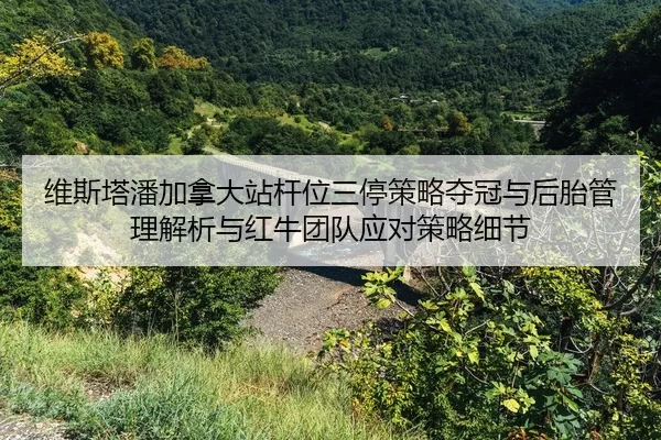 wei-si-ta-pan-jia-na-da-zhan-gan-wei-san-ting-ce-lve-duo-guan-yu-hou-tai-guan-li-jie-xi-yu-hong-niu-tuan-dui-ying-dui-2-570.jpg